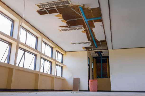 Best Emergency water damage restoration  in Odessa, MO