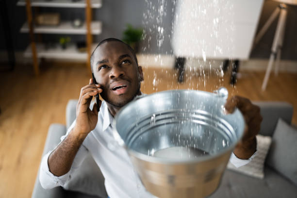 Best Carpet water damage restoration  in Odessa, MO