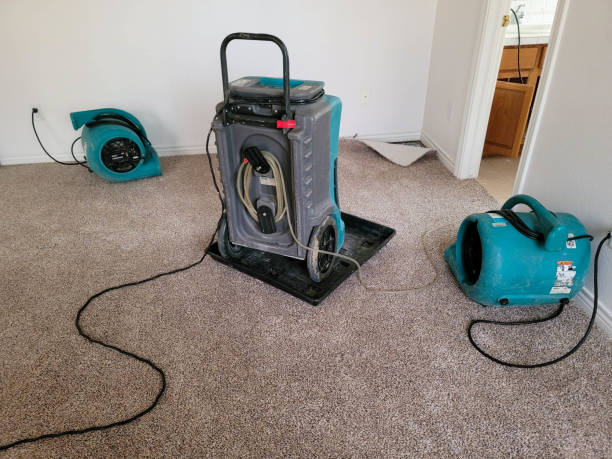 Best Water damage contractors near me  in Odessa, MO