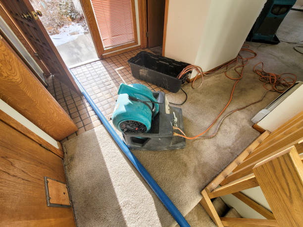 Best Emergency water damage restoration  in Odessa, MO