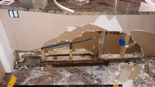 Best Water damage cleanup near me  in Odessa, MO