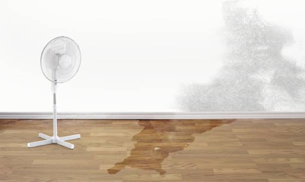 Best Commercial water damage restoration  in Odessa, MO