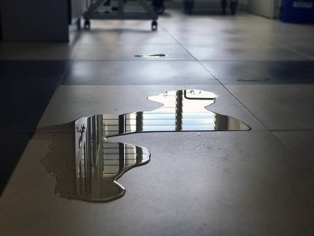 Best Professional water damage repair  in Odessa, MO