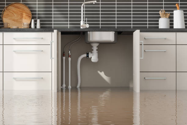 Best Flood damage cleanup  in Odessa, MO