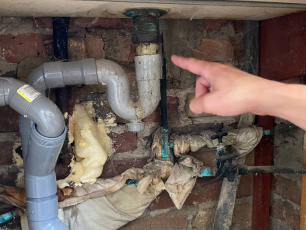 Best Fire Damage Restoration  in Odessa, MO