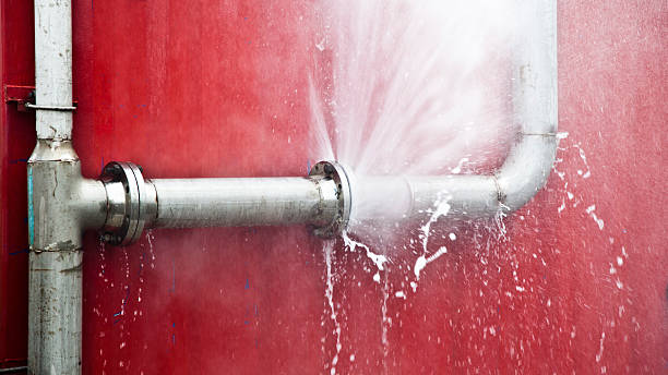 Best Water damage mitigation services  in Odessa, MO